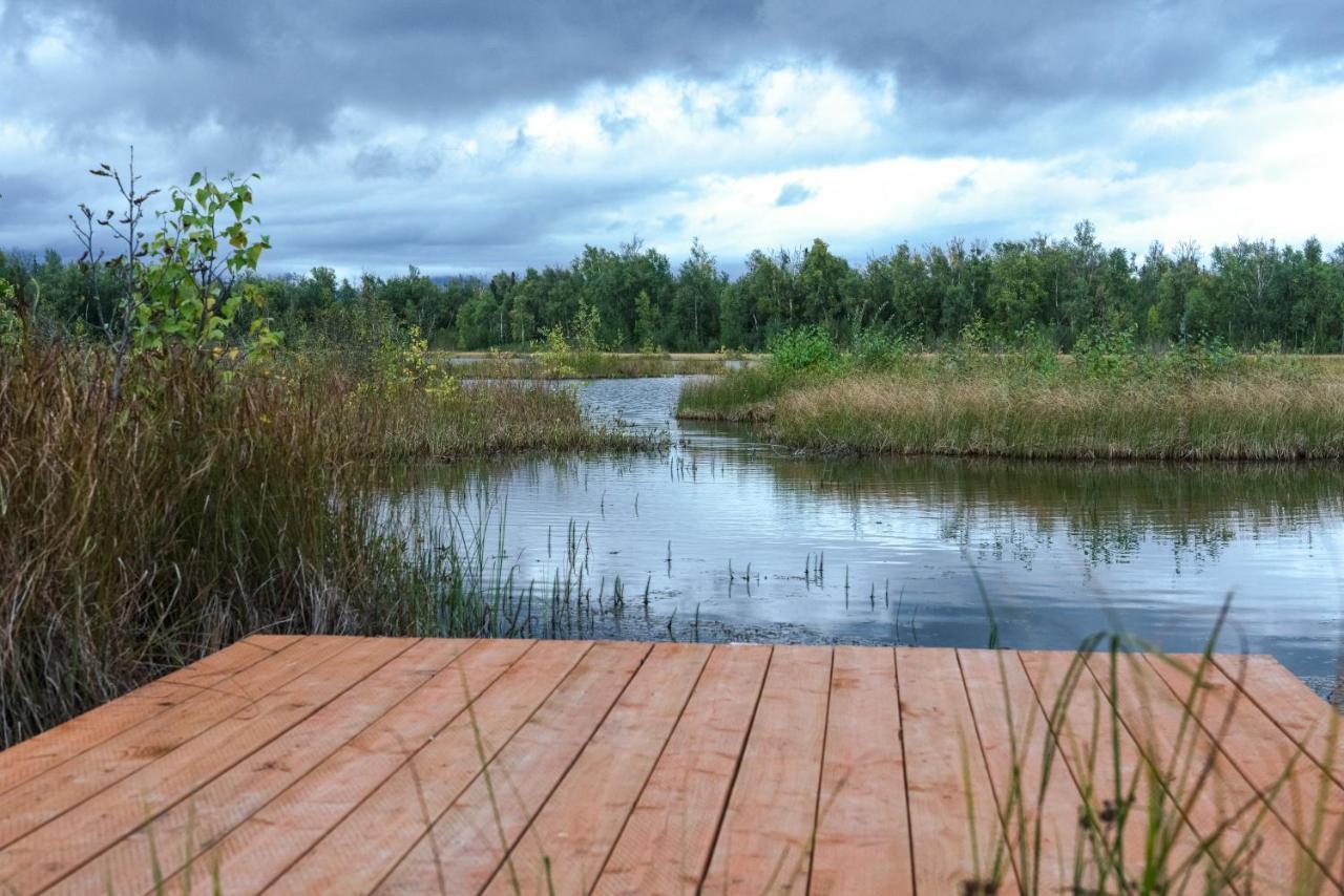 Snowgoose Pond Bed & Breakfast Palmer Εξωτερικό φωτογραφία